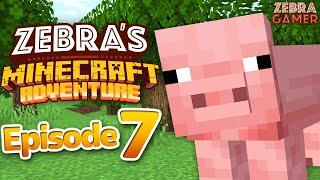 Zebra's Minecraft Adventure Part 7 - Making a Farm!