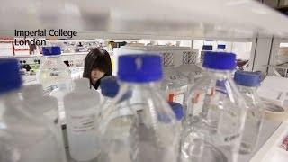 Medical research at Imperial College London