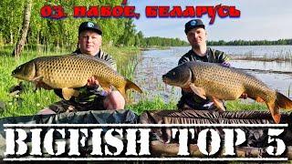 Карпфишинг турнир, по пяти крупным рыбам. BigFish TOP-5. озеро Навое, Беларусь