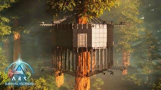 PVP Tree Platform Base Build - Ark Survival Ascended