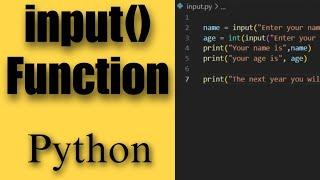 Python Input Function: A Comprehensive Guide for User Interaction