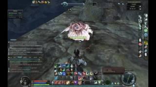 Aion Legend PVP 4 6 Ranger vs Assassin