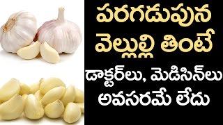 Benefits of Having GARLIC in the Early Morning | How to Improve Immunity Levels | VTube Telugu