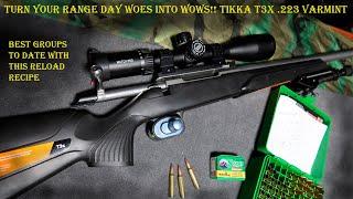 Out of the box accuracy Tikka T3X SS .223, I cracked the code on this one...#hunting #firearms