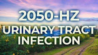 2050-Hz Music Therapy for Urinary Tract Infection UTI | 40-Hz Binaural Beat | Healing, Calming