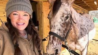 WORKING ALL 5 HORSES IN ONE DAY! // DAY IN THE LIFE