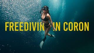 Free Diving in Coron Palawan - Best in The Philippines (Dugong, Shipwrecks, Barracuda Lake and more)