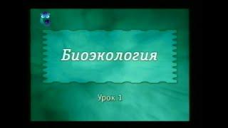 Экология. Урок 1. Что такое экология? Предмет и задачи экологии