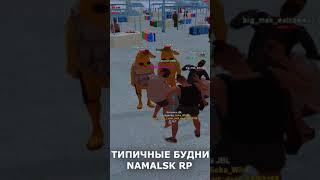 Типичные будни на NAMALSK RP