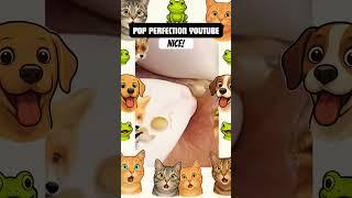 Wow! #pimple #pimplepopper #pimples #shortsfeed #shortvideo #shorts #short #youtubeshorts #youtube