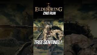 ELDEN RING TREE SENTINEL!  #shorts #short