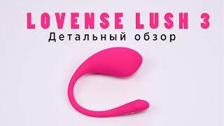 Lovense Lush 3 - детальный обзор и сравнение