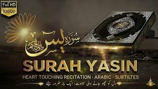 surah Yasin sudais || surah rahman || surah Waqi'ah || surah mulk || the easy quran course