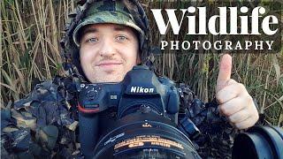 WILDLIFE PHOTOGRAPHY - Elks in Matsalu NP | LOODUSFOTOGRAAFIA - Põdrad Matsalu Rahvuspargis