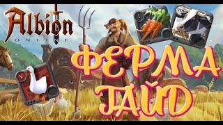 ALBION ONLINE - БЫСТРЫЙ ГАЙД ПРО ФЕРМУ