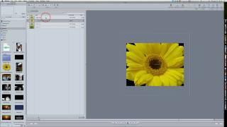 Motion 4 Tutorial: Morphing In Motion Using Optical Flow (The Poor Man's Morph)