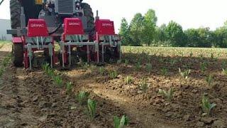 Sarchiatrice automatica per colture biologiche / intra-row weeding machine