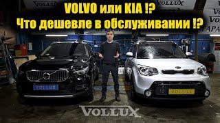 VOLVO против KIA !? Что дешевле в обслуживании !? | VOLLUX