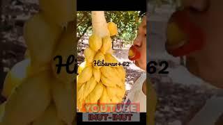 Video hiburan warga+62 | Random lucu bikin ngakak | asupan Warga +62 | meme lucu bikin sakit perut
