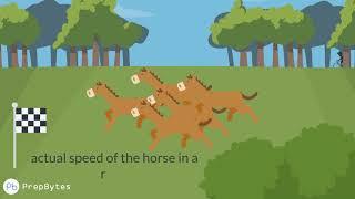 PrepBytes Interview Puzzle Series: Horse race