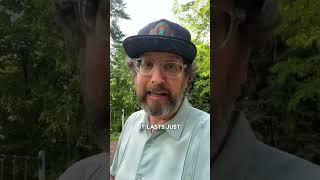 Psychedelics as teachers of impermanence - Buddhist Philosophy