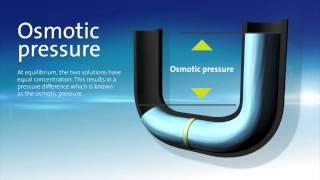 The osmosis principle