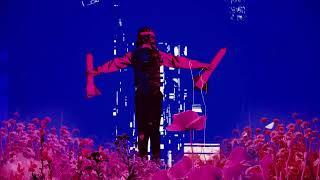 Noel Gallagher's High Flying Birds - Think Of A Number (Official Visualiser)
