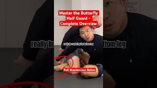 Complete System of Butterfly Half Guard Explained #bjj #halfguard #butterflyhalfguard #bjjtechnique