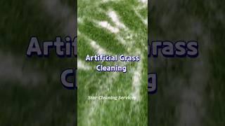 Transparent cleaning with star  Artificial Grass cleaning #howto #deepclean #vacuumcleaner