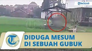 Viral Video Sejoli Diduga Mesum Siang Bolong di  Gubuk Tengah Sawah, Diteriaki Warga Tetap Cuek