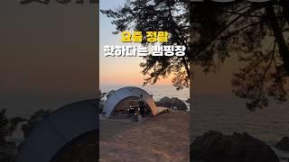 최고의 오션뷰 캠핑장  #캠핑 #캠핑장추천