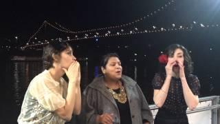 The SongBirds - The Brisbane Ferry Sessions 2014 // Crazy People