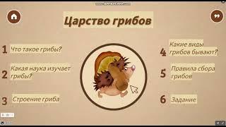 Интерактивный плакат на тему «Царство Грибов» Гусейнова Камилла, СурГПУ