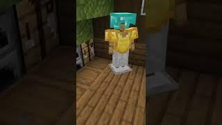 Duo player Minecraft house