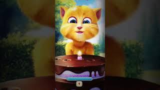 Talking Ginger 2 Cat Happy Birthday  #funny #catvideos #shorts #ginger2