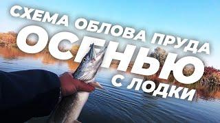 Схема облова пруда осенью  ТОП 3 совета по поиску осенней щуки на пруду