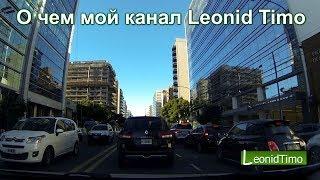 О чем мой канал Leonid Timo