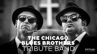 The Chicago Blues Brothers - Book them direct through Entertainers Worldwide