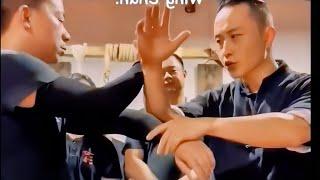 Wing chun self-defense techniques compilation pt-19