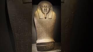 Museum of Fine Arts in Boston MA - Video 1