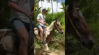 Horse riding in the jungle