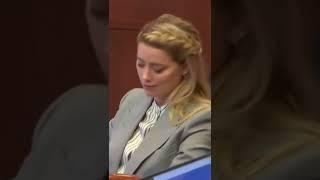 Johnny Depp's Lawyers Objecting Amber Heard's lawyer rebuttal is hilarious 
