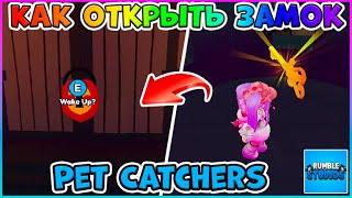 КАК НАЙТИ СЕКРЕТНЫЙ КЛЮЧ ОТ MAGMA GATE  в Pet Catchers Roblox 2024