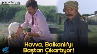 Kurbağalar | Havva, Balkanlı Ali'ye Kafayı Takıyor!