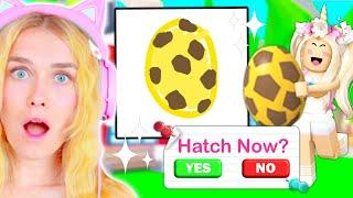 What You DRAW I HATCH In Adopt Me! (Roblox)