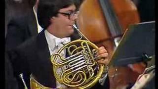 Tchaikovsky's 5th Symphony Horn Solo