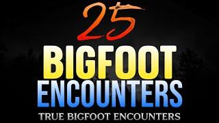 25 BIGFOOT ENCOUNTERS