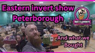 Invert Show Peterborough / Eastern Invertebrate Show