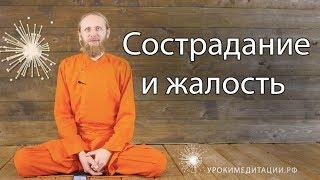 Сострадание и жалость