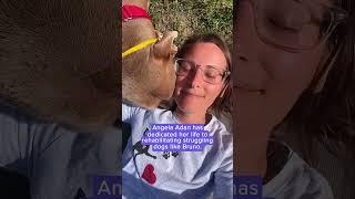 Rescue dog paralyzed by fear is transformed | Humankind #shorts #goodnews